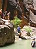 071_zion.jpg